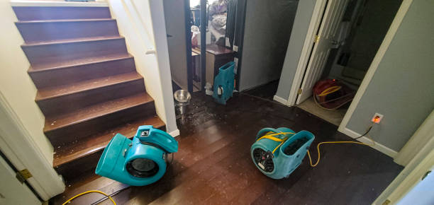 Best Water damage contractors near me  in Fairmead, CA