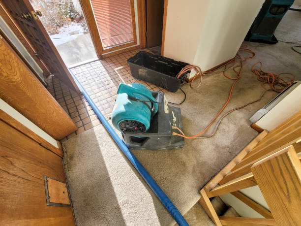 Best Water damage restoration near me  in Fairmead, CA