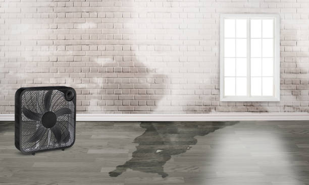 Best Water damage cleanup near me  in Fairmead, CA