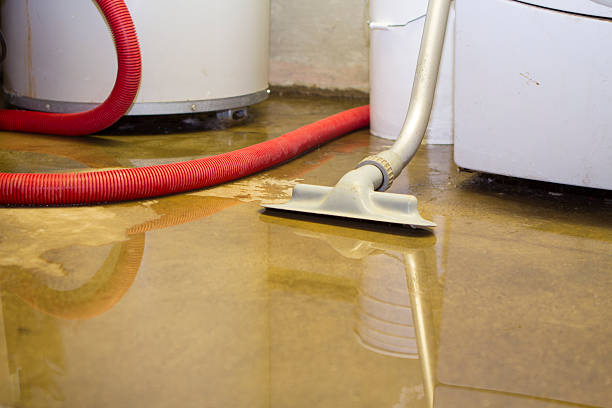 Best Local water damage restoration  in Fairmead, CA