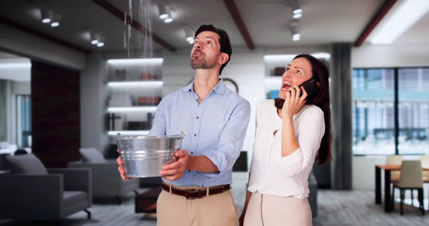 Best Ceiling water damage repair  in Fairmead, CA