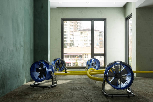 Best Water damage cleanup near me  in Fairmead, CA